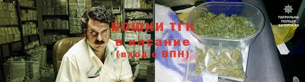 гидропоника Богданович