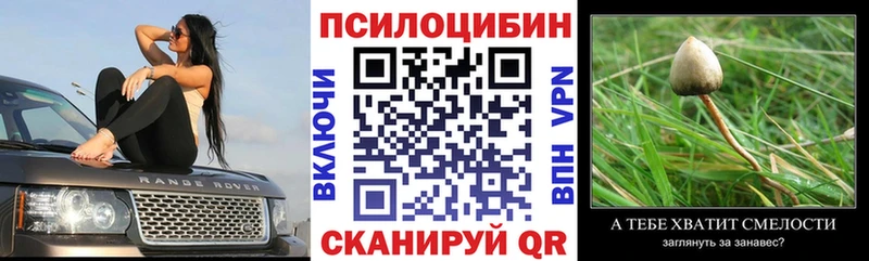 hydra   сколько стоит  Пионерский  Галлюциногенные грибы GOLDEN TEACHER 